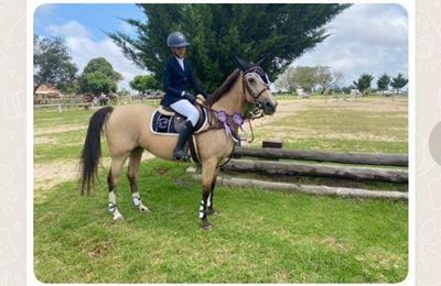 Olympia riders make their mark
