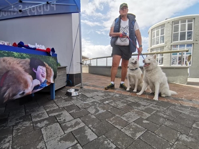 Dogs, owners enjoy special day