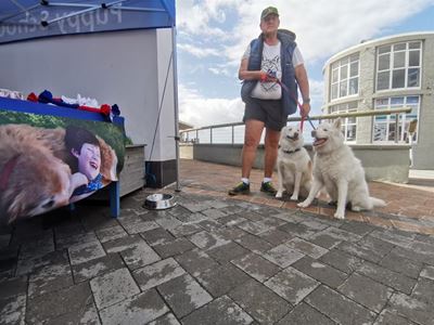 Dogs, owners enjoy special day