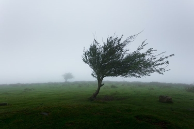 Severe weather alert