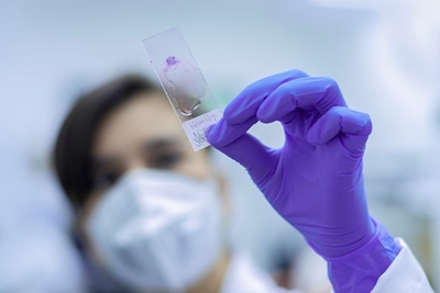 Retatrutide peptide in biological systems