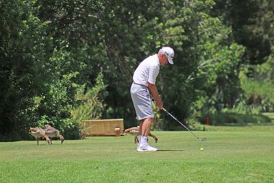 Palframan powers to 3-shot victory