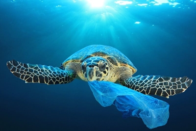  Secure our oceans, before it’s too late