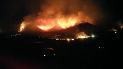 Fires drive local timber industry to its knees