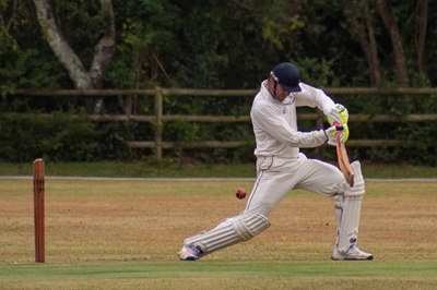 The village abuzz with cricket