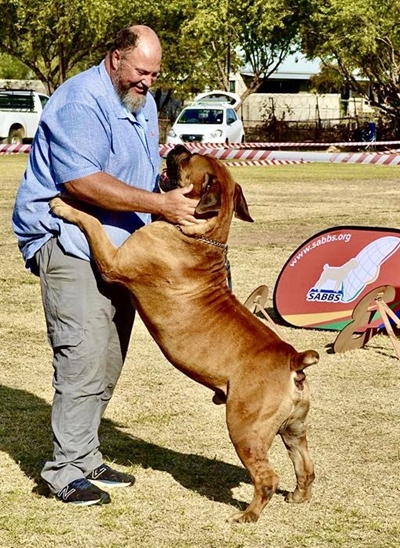 Kom kyk Saterdag na die boerboele