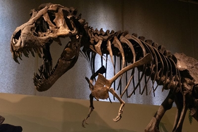 SANParks announces free entry to Kgodumodumo Dinosaur Centre
