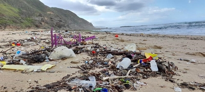 Blemish of pollution: from river to beach