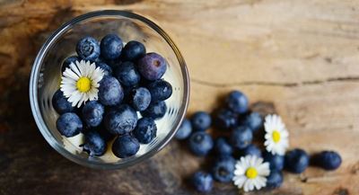 Optimal irrigation for perfect blueberries