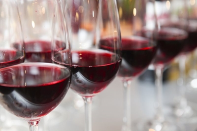 Festival of Wines brings winelands to bay