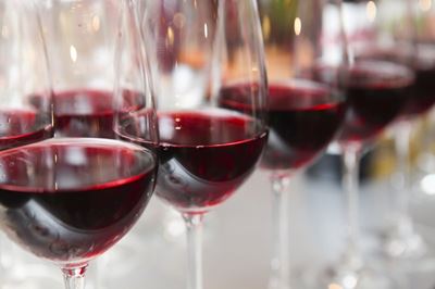 Festival of Wines brings winelands to bay