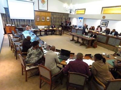 Petition: Re Willemse as mayor