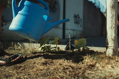 Dry spring and summer predicted for Garden Route District