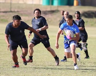 Seagulls verhang bordjies teen All Blacks
