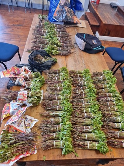 Man nabbed with 80 bundles Khat