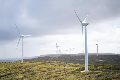 Eskom launches programme to boost use of green power