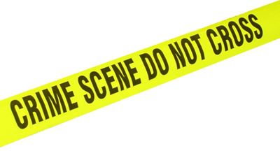 Stabbing and panga attack in Borcherds 