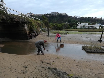 Estuary water quality project forges ahead