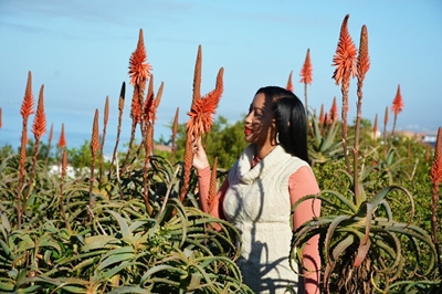 It's aloe season!