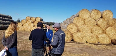 Oakdale op die kassie