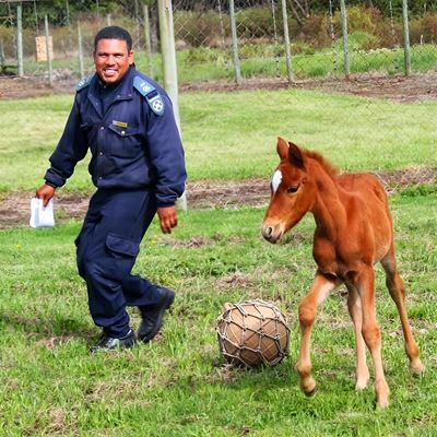 Henrico Pypers celebrates 23 years of dedication to the Garden Route SPCA