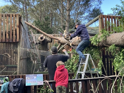 Double trouble at Raptor Rescue