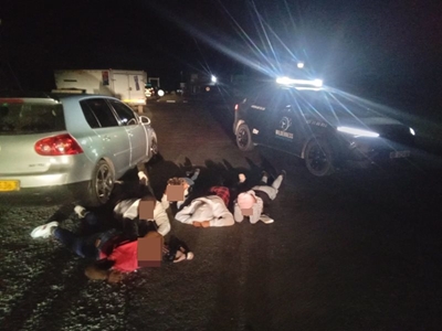 Alleged thieves run into armed response
