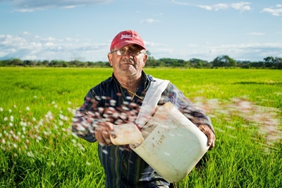 How to make the most of farmers’ days