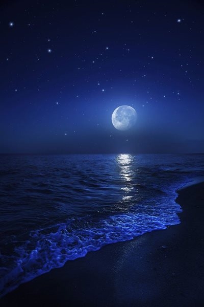 Don't miss Beach Moon Run