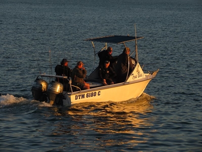 Stilbaai hawe 'n miernes van bedrywighede