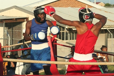 George to host Easter boxing festival