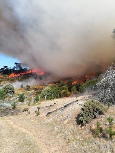 Hikers evacuated after fire