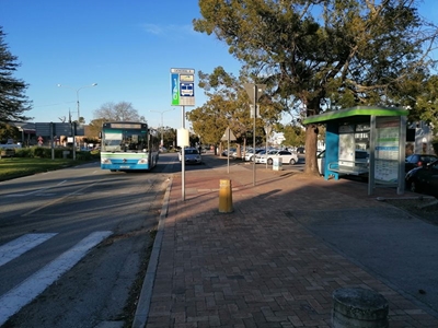 No stopping at Go George bus stops