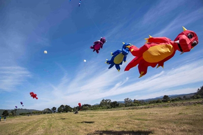 Kite flyers on a high in challenging winds