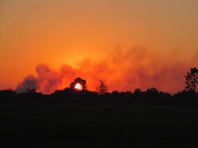 Fires update: 2 November