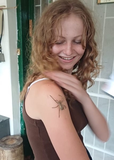 Reënspinnekop steel die kollig ná Oujaarsaandreën