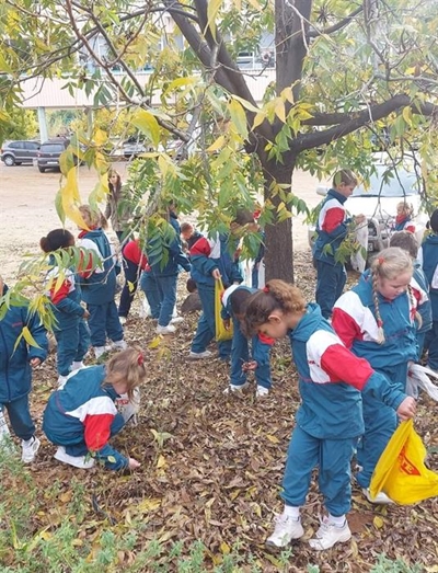 Kwagga-oesresies sommer groot pret