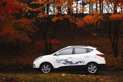 Which alternative fuels will survive?