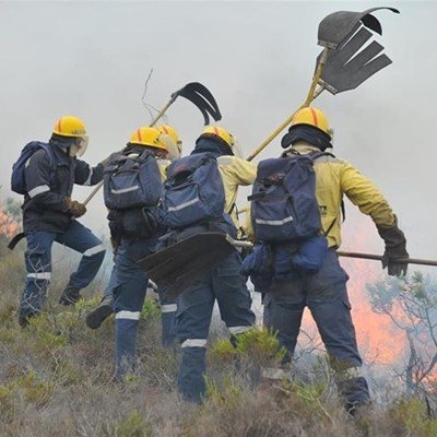 Wildfire: De Hoop, near Haarlem