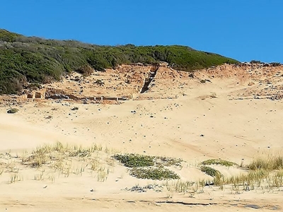 Vleesbaai & dunes 'of enormous scientific interest'