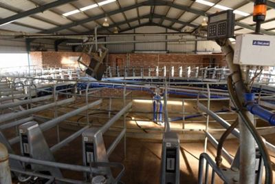 Estina paid R106m for inadequate processing plant at Vrede Dairy Farm project, commission hears