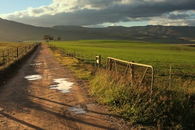 SA land prices stable despite uncertainty on land issue – Basa