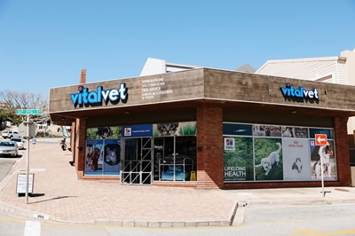 Get your pets vaccinated at Vitalvet