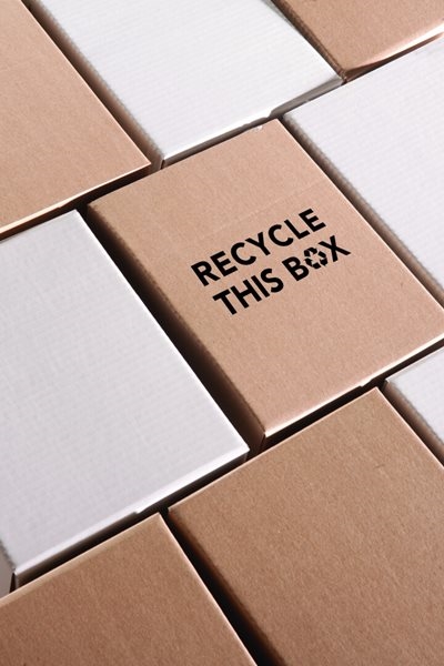 National Recycling Day: Don’t put these paper products in your recycling bin 