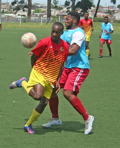 Birds fly high in third-tier league