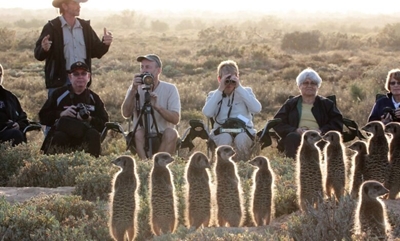 Meerkats, mountains and memorable moments in the Klein Karoo