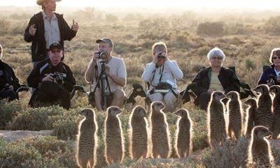 Meerkats, mountains and memorable moments in the Klein Karoo
