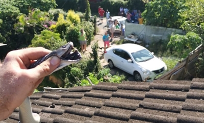 2.5m Black Mamba found hiding in roof at Bellair home