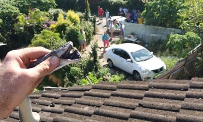2.5m Black Mamba found hiding in roof at Bellair home