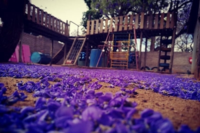Police investigating after teachers caught beating children at Pretoria crèche